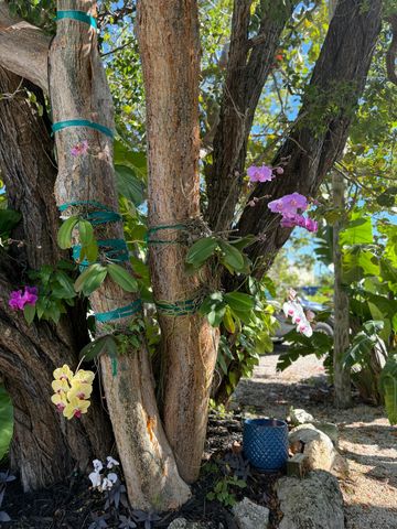 415 Palm Drive, Lower Matecumbe, FL 33036