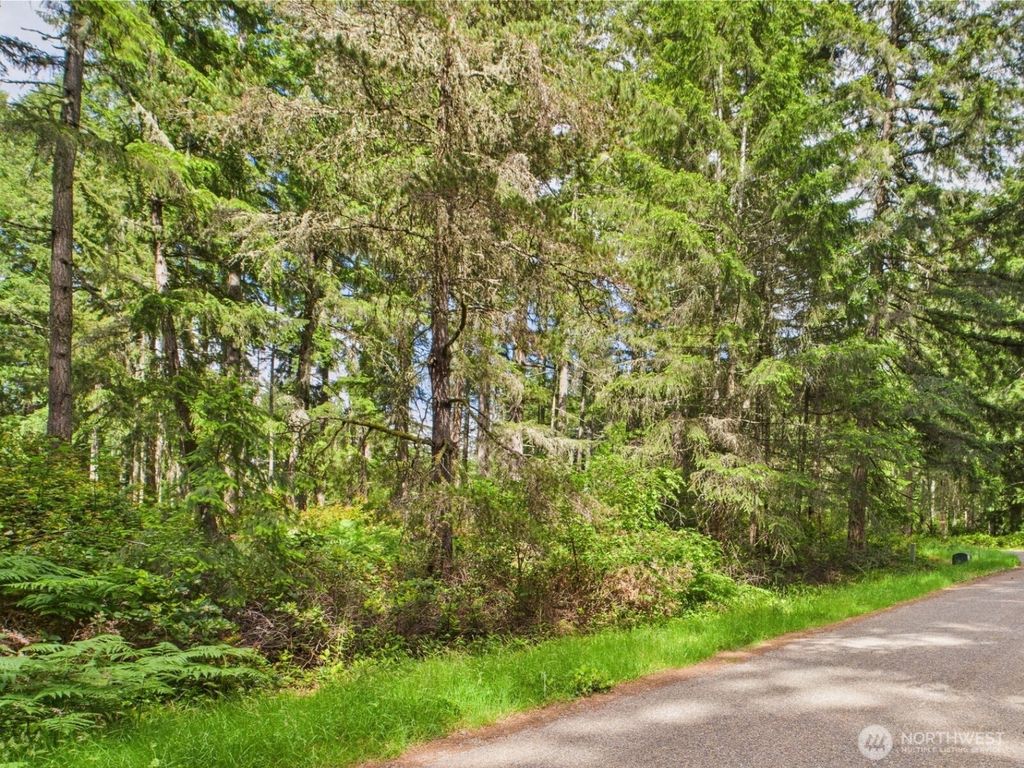 10412 Edgewood Dr, Anderson Island, WA 98303
