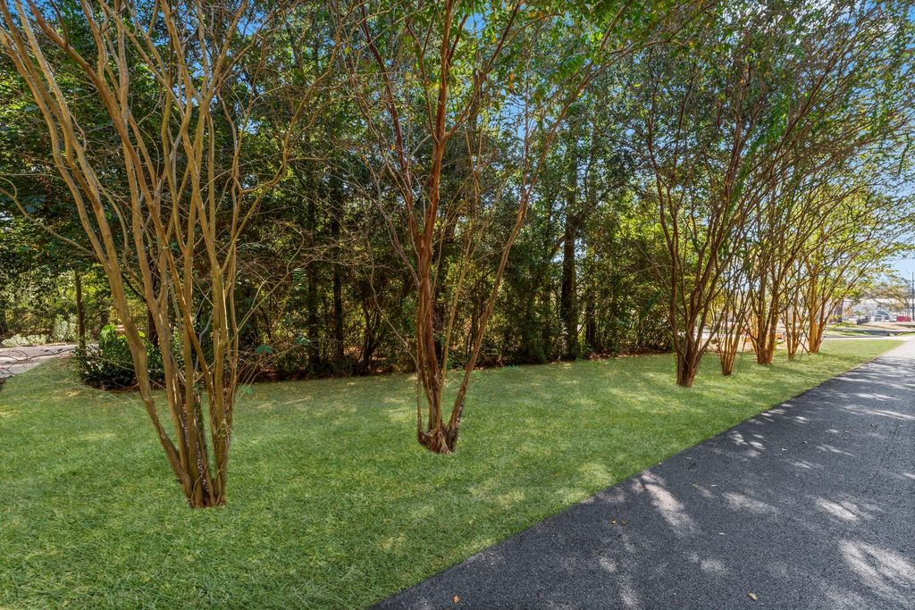 25206 #5 Spring Ridge Drive, Spring, TX 77386