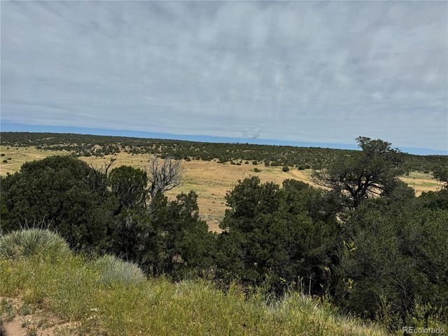Badger Rd, Walsenburg, CO 81089