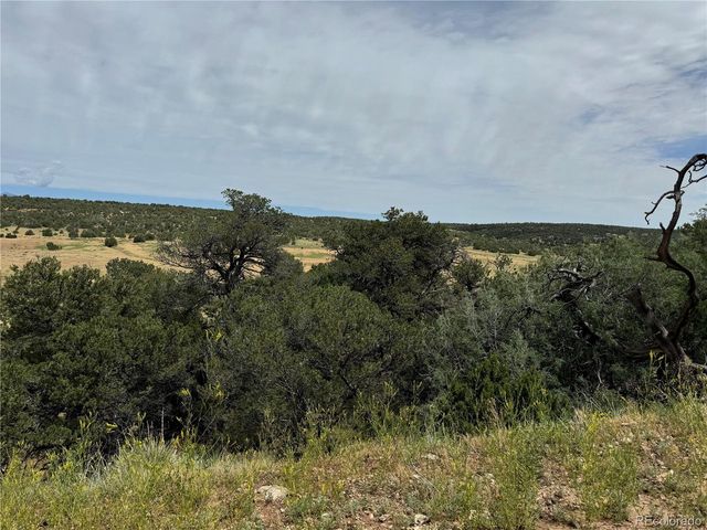 Badger Rd, Walsenburg, CO 81089