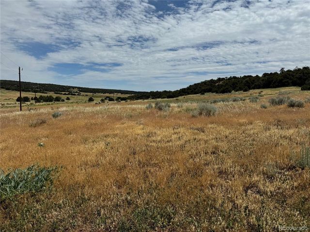 Badger Rd, Walsenburg, CO 81089