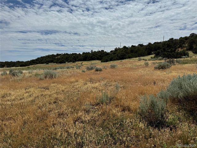 Badger Rd, Walsenburg, CO 81089