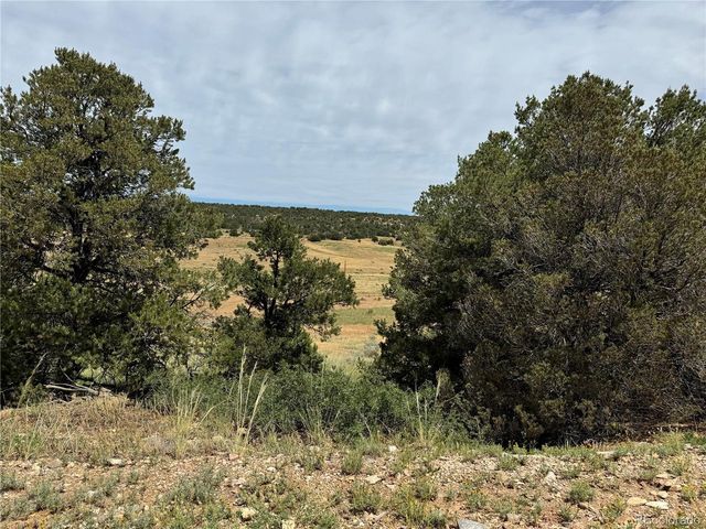 Badger Rd, Walsenburg, CO 81089