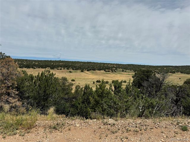 Badger Rd, Walsenburg, CO 81089