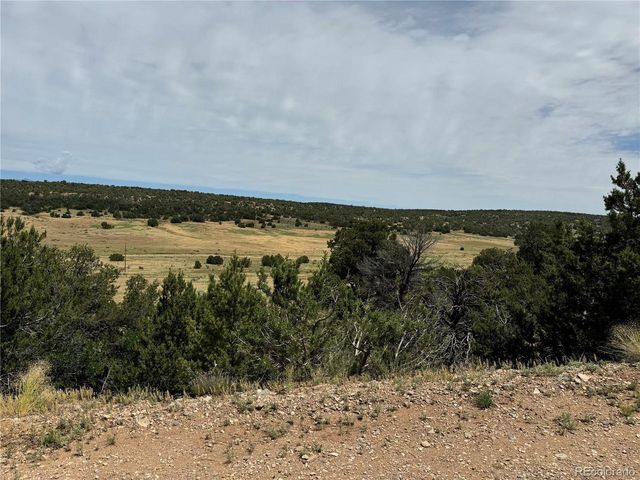 Badger Rd, Walsenburg, CO 81089