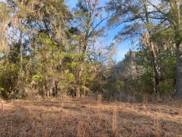 1970 Liberia Road, Wadmalaw Island, SC 29487