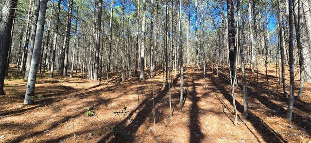 Lot 41 Deyton Drive, Blairsville, GA 30512