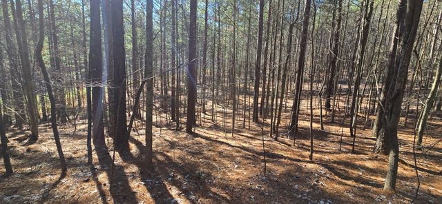 Lot 41 Deyton Drive, Blairsville, GA 30512
