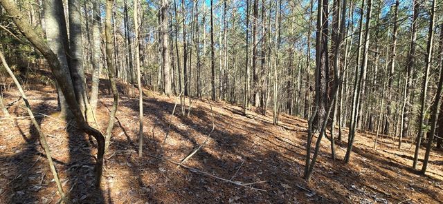Lot 41 Deyton Drive, Blairsville, GA 30512