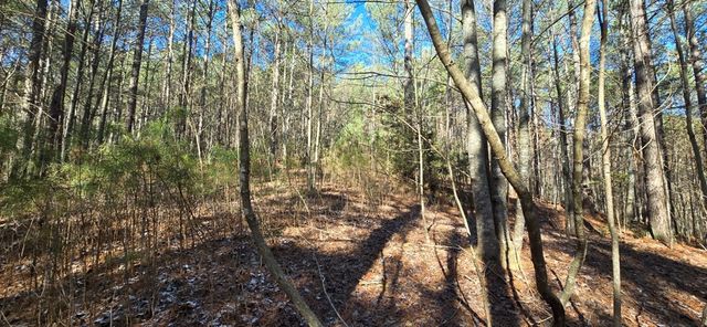 Lot 41 Deyton Drive, Blairsville, GA 30512