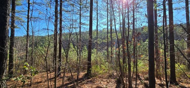 Lot 41 Deyton Drive, Blairsville, GA 30512