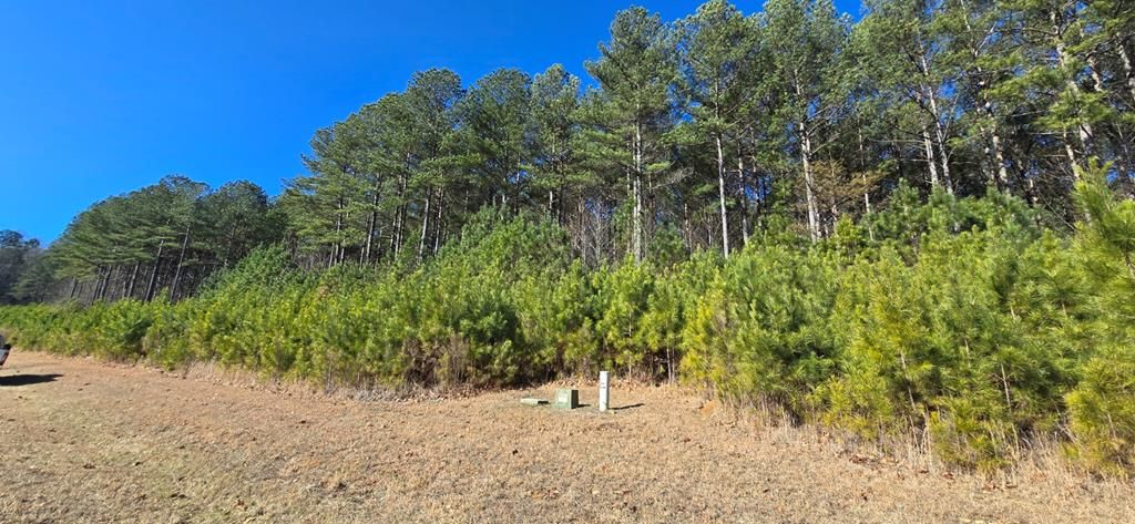 Lot 41 Deyton Drive, Blairsville, GA 30512