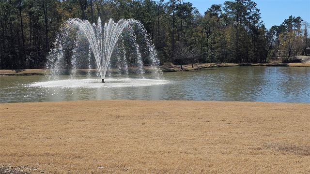 3529 Brian Valley Court, Spring, TX 77386