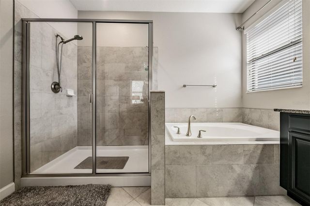 32123 GODDARD DRIVE, Wesley Chapel, FL 33543