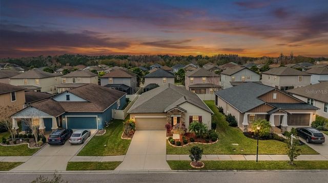 32123 GODDARD DRIVE, Wesley Chapel, FL 33543