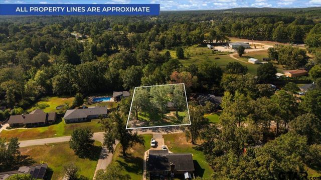 114 Forest South Drive, Whitehouse, TX 75791