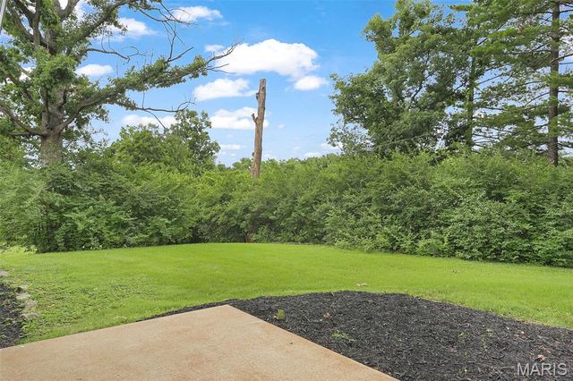 1036 Orchard Lakes Drive, St Louis, MO 63146