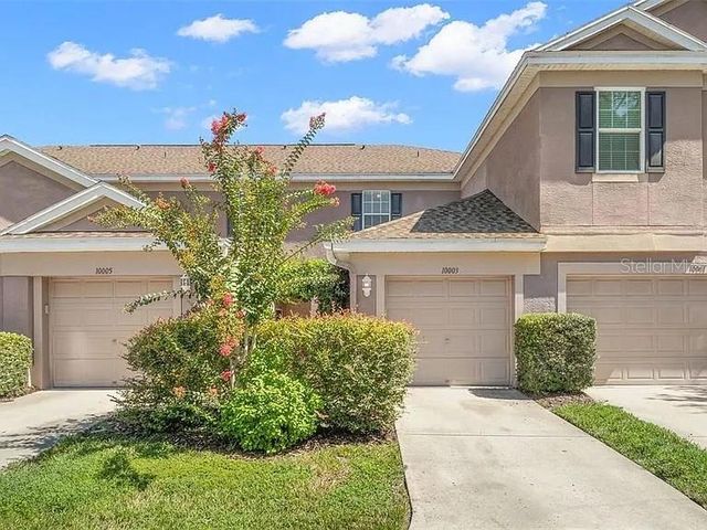 10005 TRANQUILITY WAY, Tampa, FL 33625