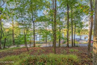 Lakewood Rd, Kingston, TN 37763