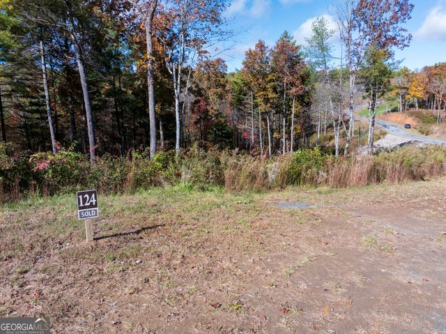 0 Ridge Road, Morganton, GA 30560