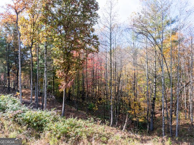 0 Ridge Road, Morganton, GA 30560