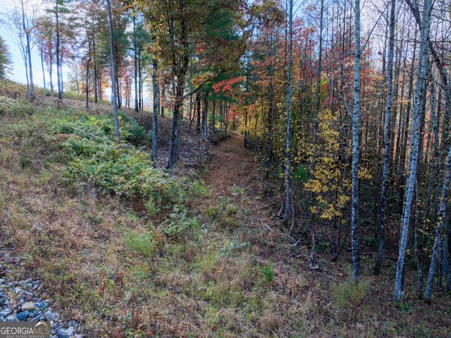 0 Ridge Road, Morganton, GA 30560