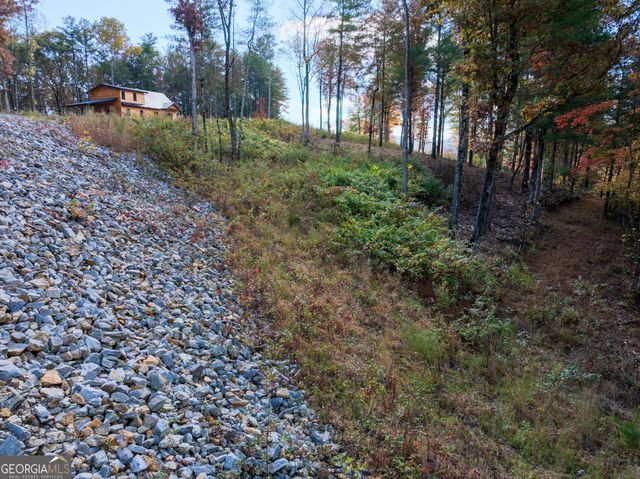 0 Ridge Road, Morganton, GA 30560