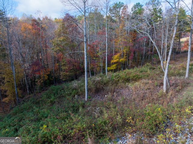 0 Ridge Road, Morganton, GA 30560