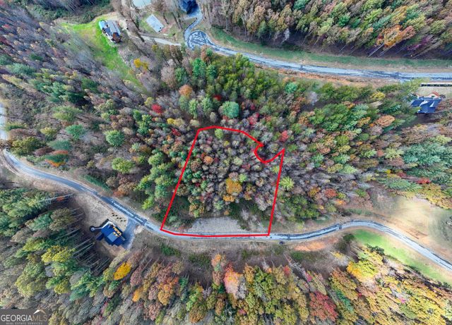 0 Ridge Road, Morganton, GA 30560