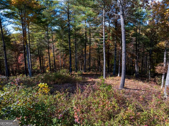 0 Ridge Road, Morganton, GA 30560