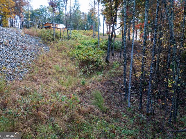 0 Ridge Road, Morganton, GA 30560