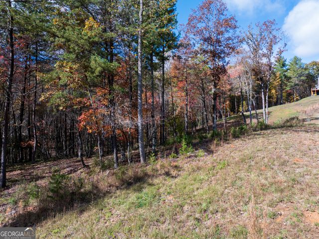 0 Ridge Road, Morganton, GA 30560