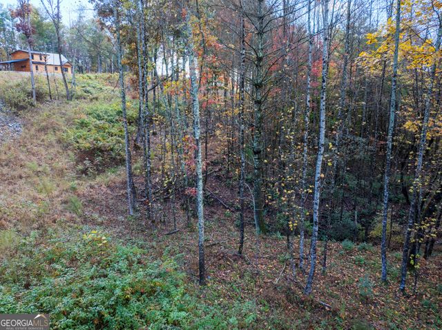 0 Ridge Road, Morganton, GA 30560