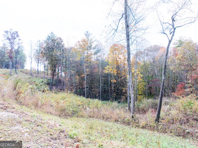 0 Ridge Road, Morganton, GA 30560