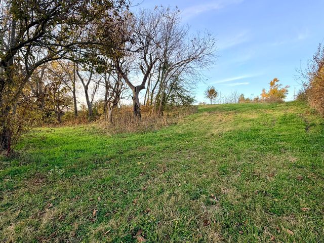 18371 Lawrence 2230, Aurora, MO 65605