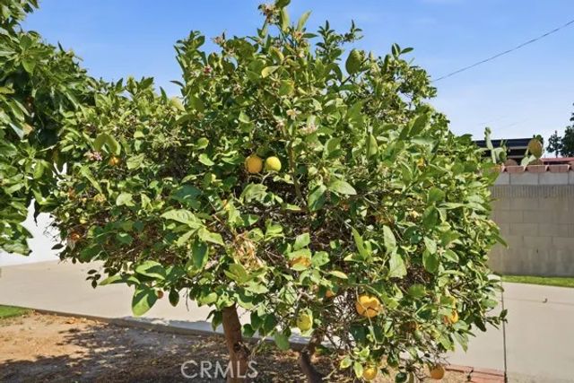 24513 Lakme Avenue, Wilmington, CA 90744