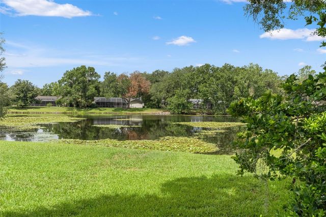 13916 MIDDLE PARK DRIVE, Tampa, FL 33624