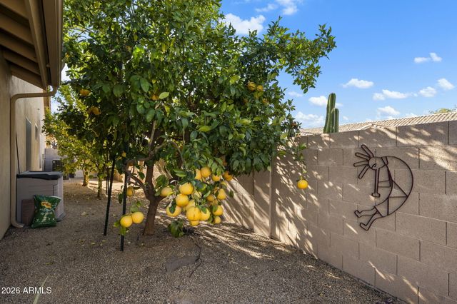 29648 N 45TH Street, Cave Creek, AZ 85331