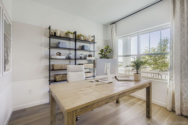 1742 Drumming Drive, Windsor, CO 80550