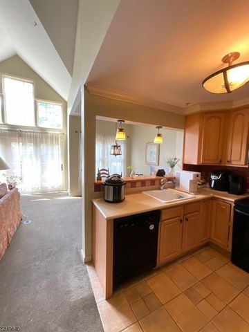4 Maple Cres Unit 22, Vernon Twp., NJ 07462