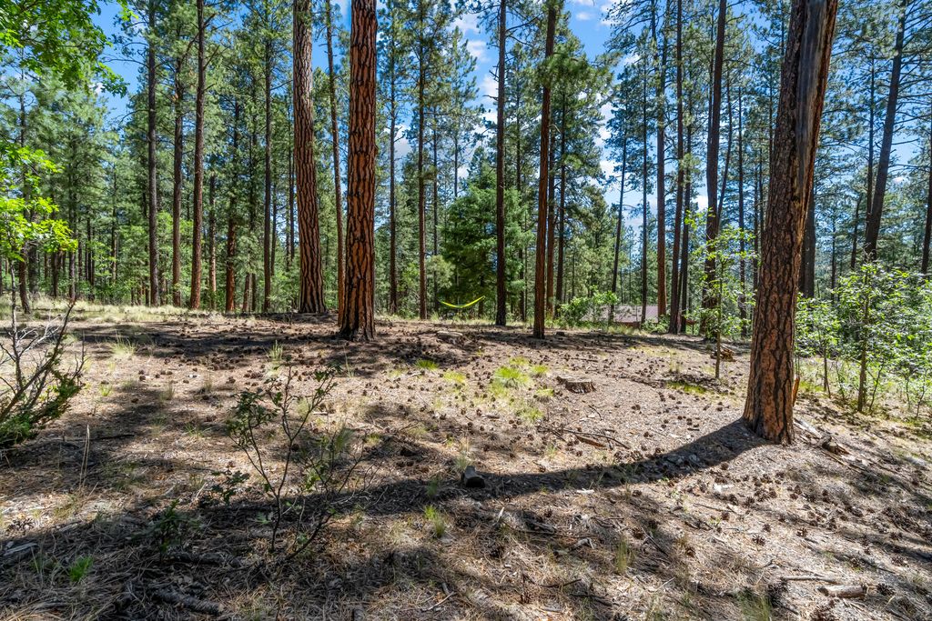 Image 34 of property listing at 578 Horseshoe Loop, Jemez Springs, NM 87025