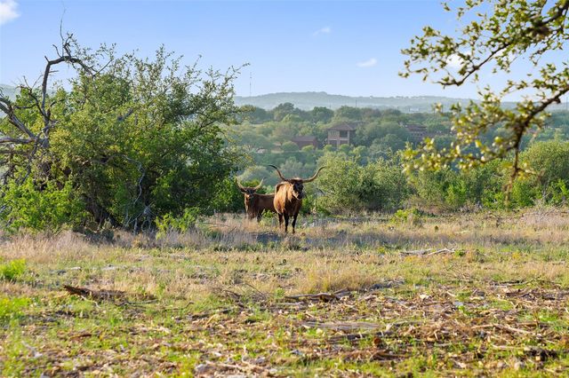 10 Pedernales Canyon TRL, Spicewood, TX 78669