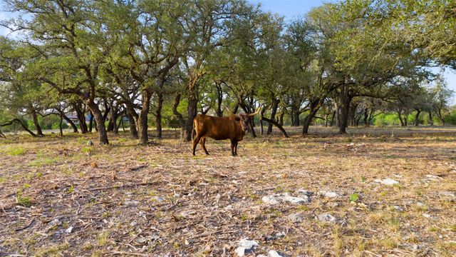 10 Pedernales Canyon TRL, Spicewood, TX 78669