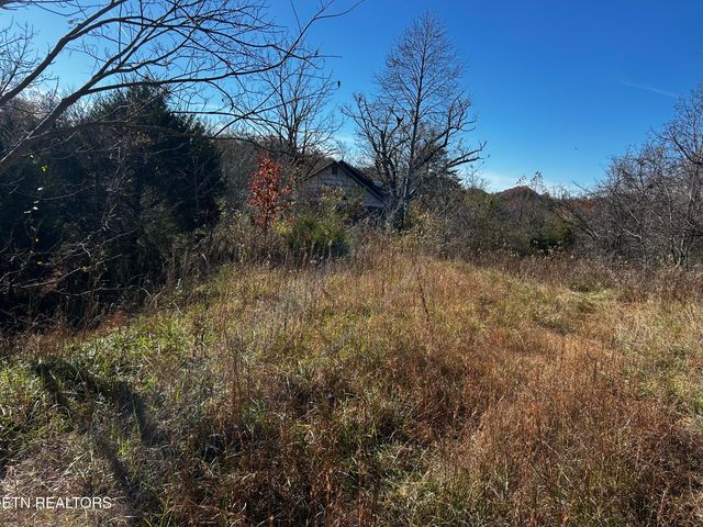 Shadden Road Lot 1, Tellico Plains, TN 37385