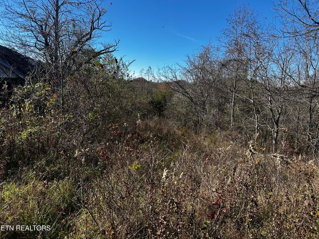 Shadden Road Lot 1, Tellico Plains, TN 37385