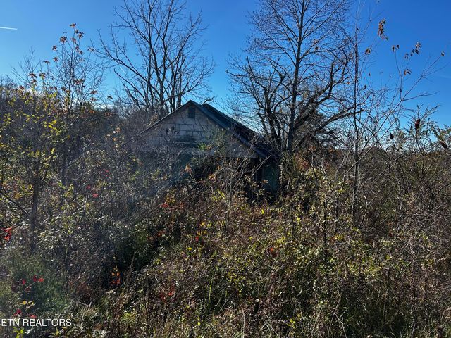Shadden Road Lot 1, Tellico Plains, TN 37385