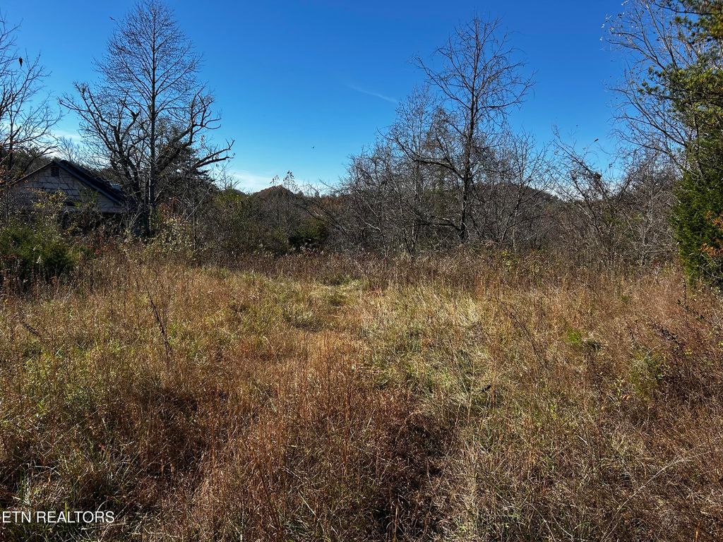 Shadden Road Lot 1, Tellico Plains, TN 37385