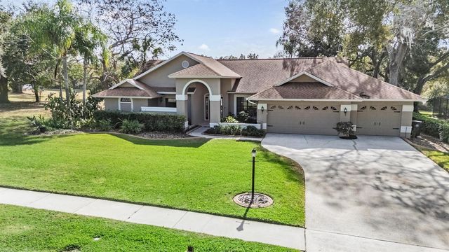 3911 LITHIA RIDGE BOULEVARD, Valrico, FL 33596