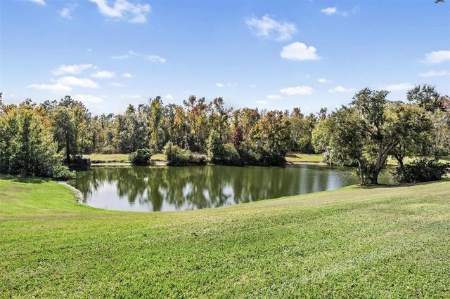 3911 LITHIA RIDGE BOULEVARD, Valrico, FL 33596